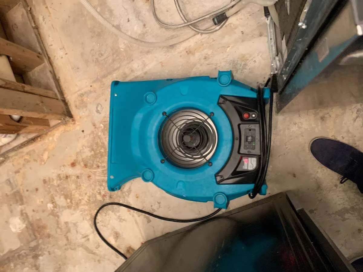 Air mover drying equipment for Mold Remediation & Removal in Pelham